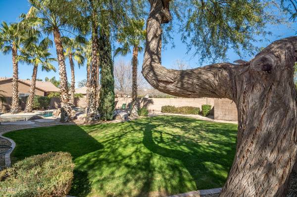 Chandler, AZ 85248,3963 S HOLLYHOCK Place