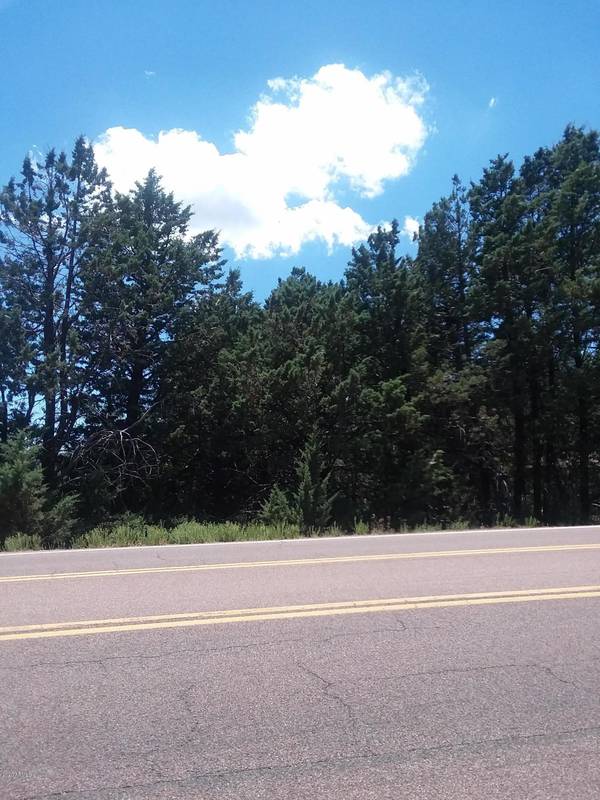 Pine, AZ 85544,4202 N Hwg 87 Road #-