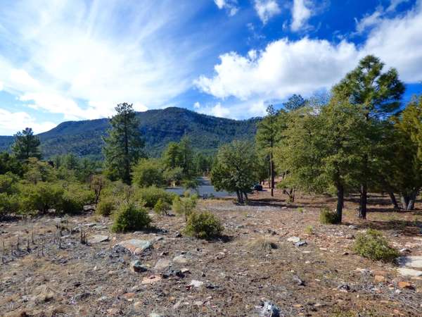 Pine, AZ 85544,153 Windsong Lane #153