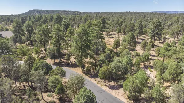 Payson, AZ 85541,1022 N Indian Paintbrush Circle #173