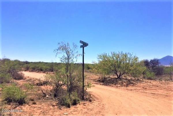 Bisbee, AZ 85603,40 ACRES TENAYA Lane #104-39-001B