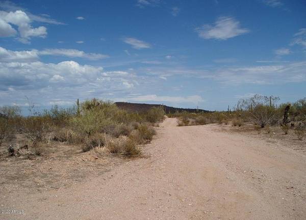 Wickenburg, AZ 85390,30815 W GALVIN Street #-