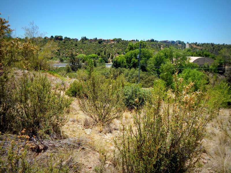 4950 E CATHERINE Drive #1004, Prescott, AZ 86301