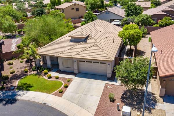 Chandler, AZ 85286,1469 E IRIS Drive