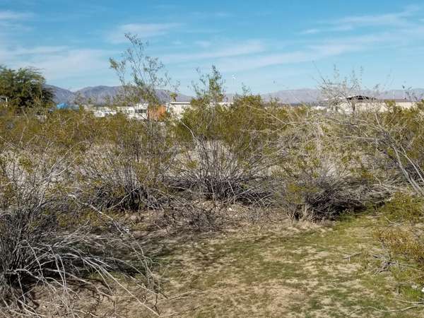 Salome, AZ 85348,67036 MOODIE Lane #1018