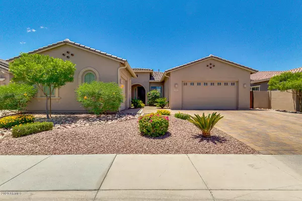 3555 E DESERT BROOM Drive, Chandler, AZ 85286