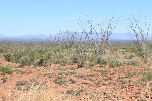 Tombstone, AZ 85638,High Desert Drive #49