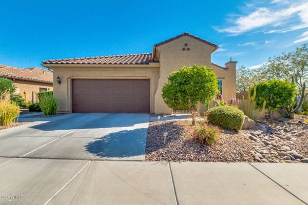 Florence, AZ 85132,7385 W SILVER SPRING Way