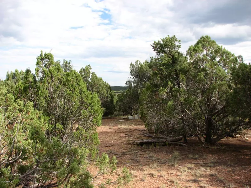 4982 Elk Trail Road #005K, Clay Springs, AZ 85923