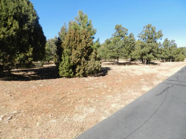 Overgaard, AZ 85933,2876 Constellation Lane #216/U