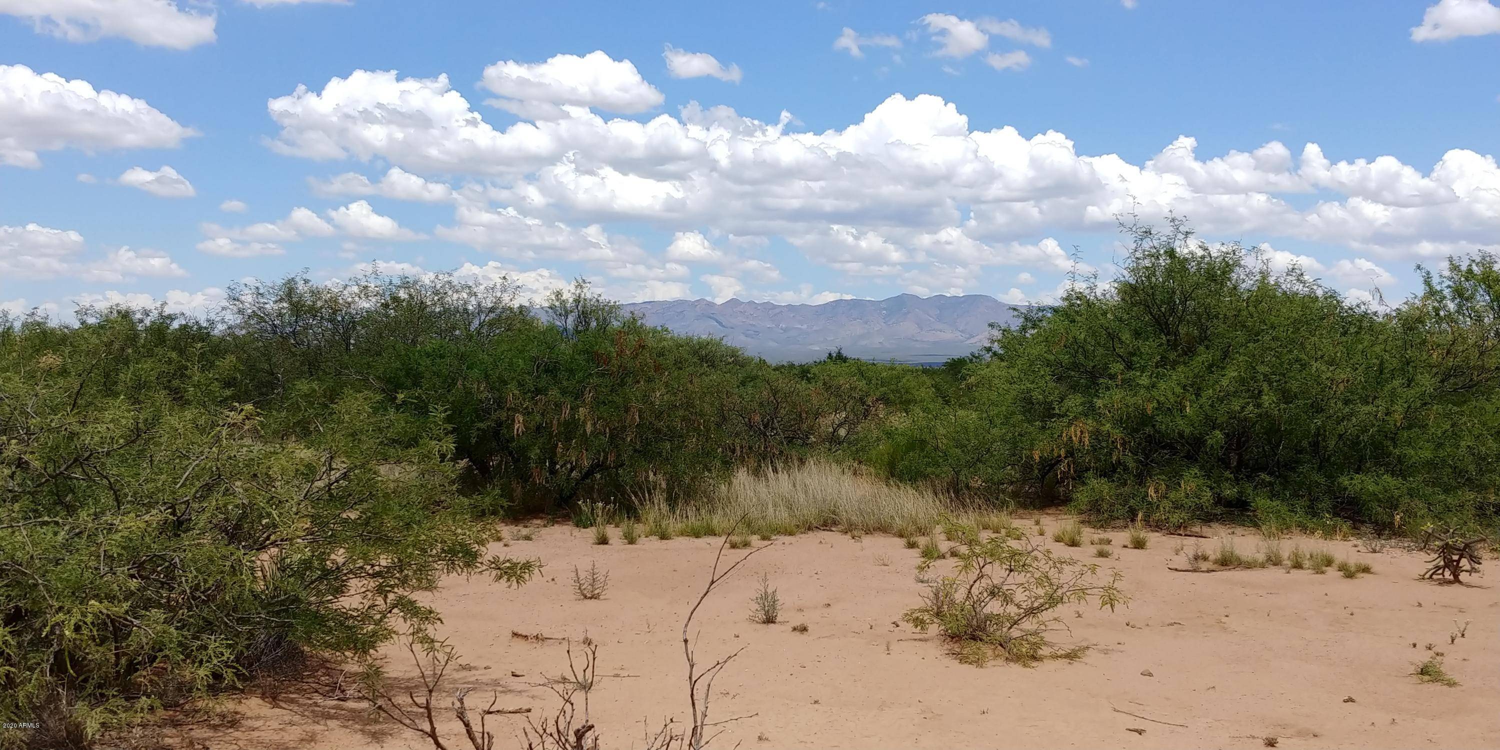 Hereford, AZ 85615,20 Quail Call Lane #3