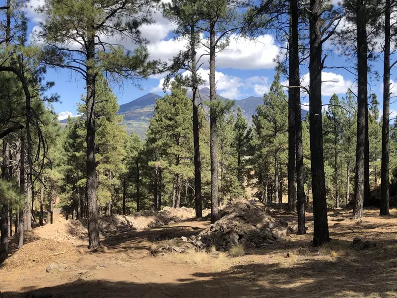 0 Coyote Pass Rd, parcel 5 -- #A, Flagstaff, AZ 86001