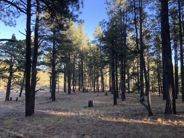 Flagstaff, AZ 86001,0 Coyote Pass Rd, parcel 5 -- #A