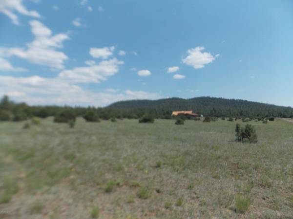 Lakeside, AZ 85929,103 LONE HORSEMAN Road #-