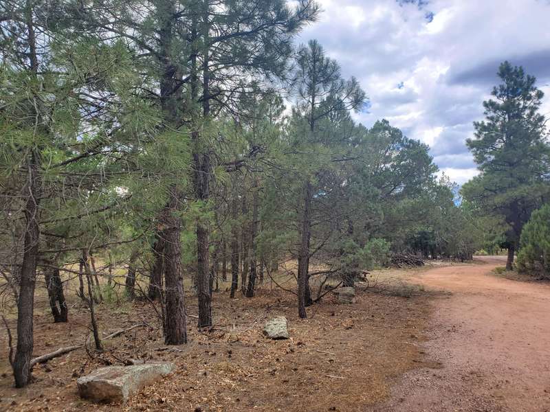 1367 EVERGREEN Path, Happy Jack, AZ 86024