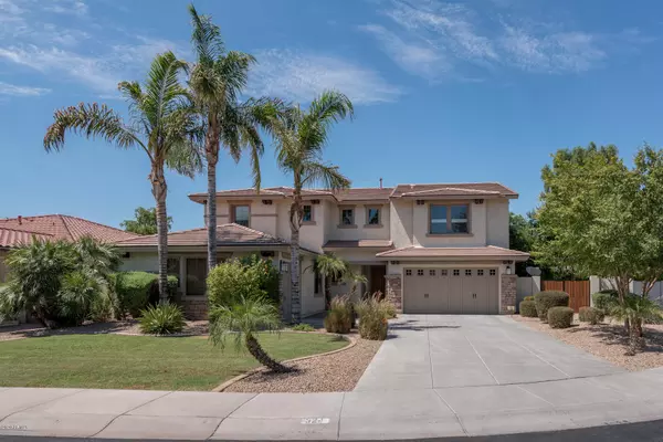 324 W AZALEA Drive, Chandler, AZ 85248