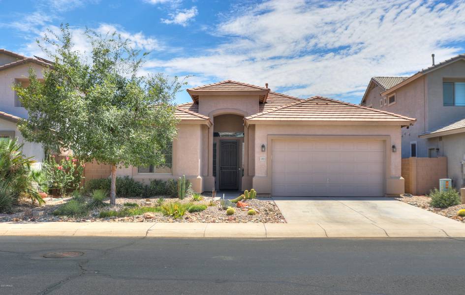 43911 W GRIFFIS Drive, Maricopa, AZ 85138