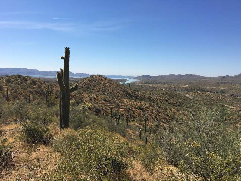 0 N Columbia Mine Trail Road #5 Acres, Morristown, AZ 85342