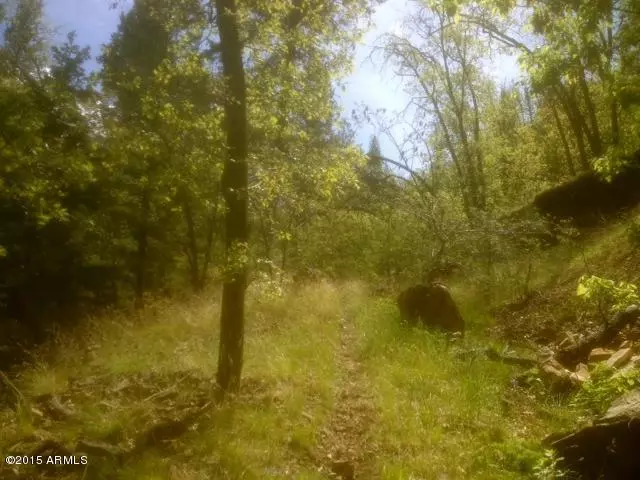 Prescott, AZ 86303,5005 E ALPINE Drive #65