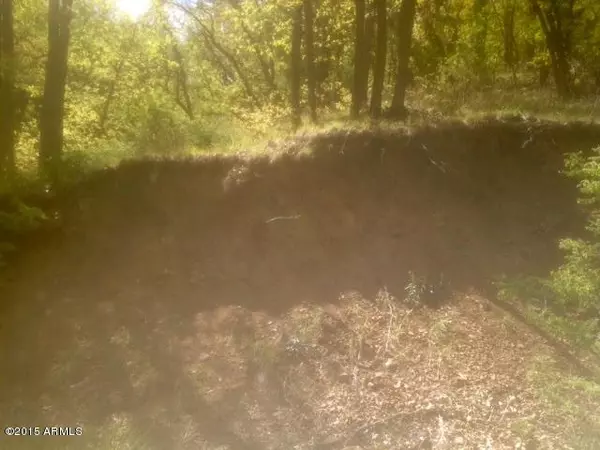 Prescott, AZ 86303,5005 E ALPINE Drive #65