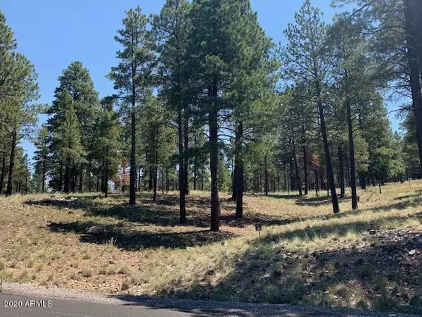 Flagstaff, AZ 86005,2531 E Del Rae Drive #189