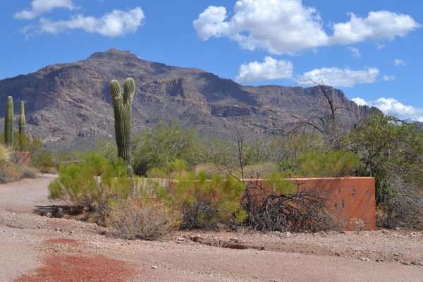 Gold Canyon, AZ 85118,3529 S KINGS RANCH Court #-