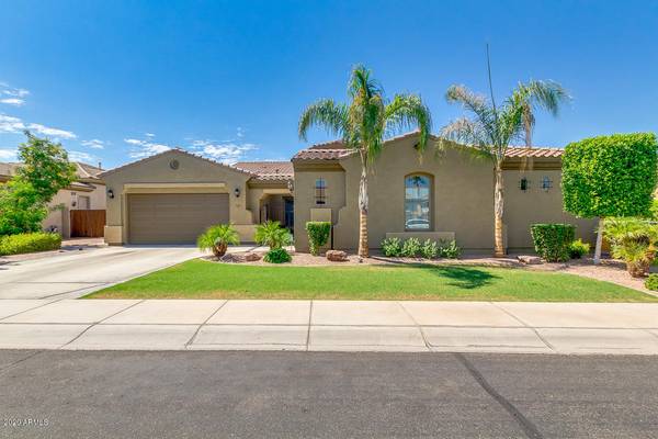 Chandler, AZ 85286,3385 E CARDINAL Way