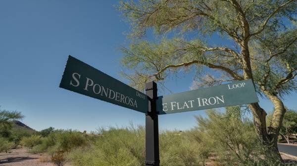 Gold Canyon, AZ 85118,3304 S PONDEROSA Drive #48