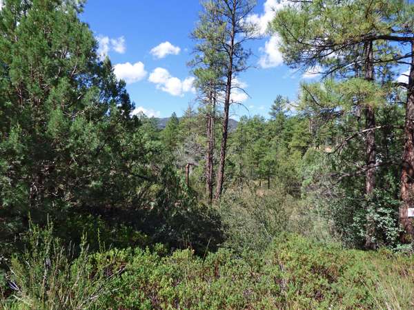 Pine, AZ 85544,3818 N WHISPERING PINE Road #3