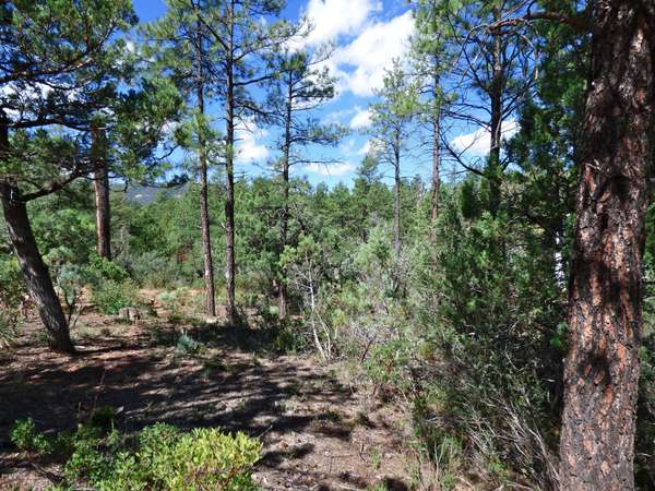 Pine, AZ 85544,3818 N WHISPERING PINE Road #3