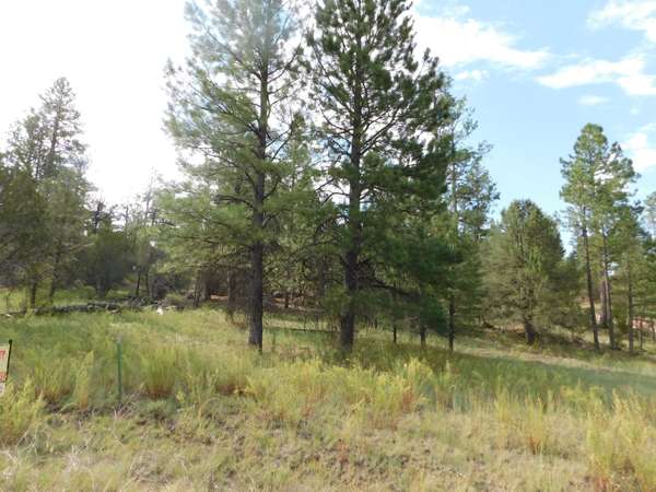 Overgaard, AZ 85933,1919 Green Valley Road #18