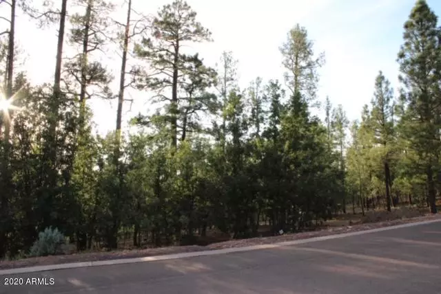 Pinetop, AZ 85935,102 S Cedar Pine Lane #102