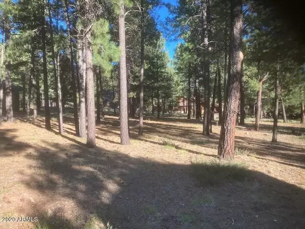 2299 Link Smith -- #646, Flagstaff, AZ 86005