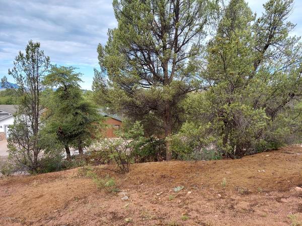 Payson, AZ 85541,601 N WOOD HILL Road #52