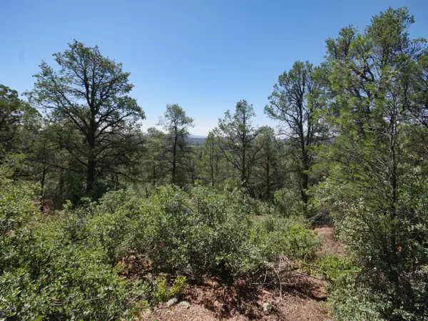 Payson, AZ 85541,1101 N Falconcrest Drive #-