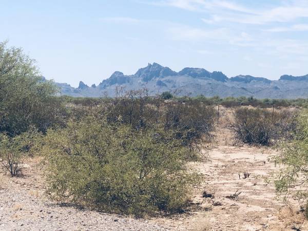 Tonopah, AZ 85354,Address Assigned -- Lot -- #52