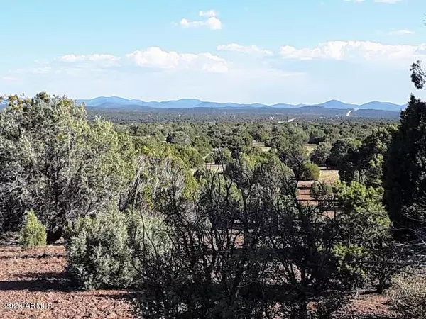 Concho, AZ 85924,Pines Unit 8 Lot 393 -- #-