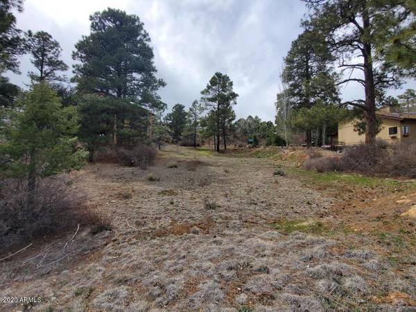 Flagstaff, AZ 86004,4245 E Broken Rock Loop #202