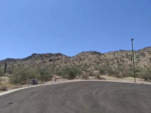 Goodyear, AZ 85338,16587 W SANTA LORETTA Drive #38