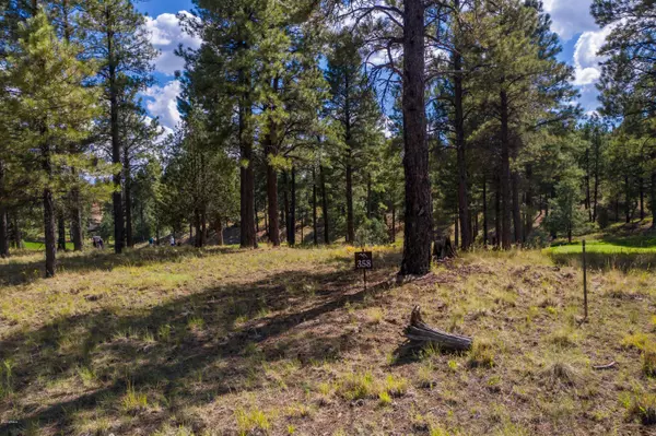 Flagstaff, AZ 86005,3141 S Solitaries Canyon Drive #358