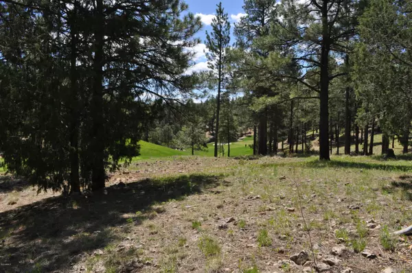 Flagstaff, AZ 86005,2791 E Byrds View Drive #332