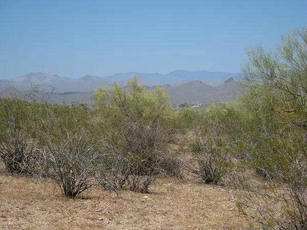 Wickenburg, AZ 85390,4600 S Black Mountain Road #28