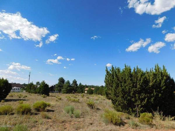 Overgaard, AZ 85933,2236 MEADOW Lane #228