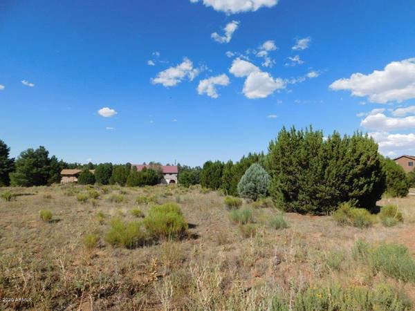 Overgaard, AZ 85933,2236 MEADOW Lane #228