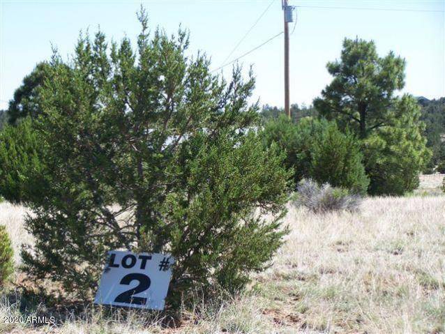 Overgaard, AZ 85933,3351 TONTO Drive #19