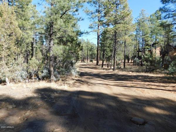 Overgaard, AZ 85933,2768 CANYON RIDGE Road #-