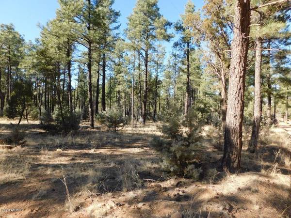 Overgaard, AZ 85933,2768 CANYON RIDGE Road #-