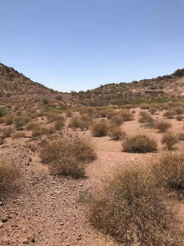 Queen Creek, AZ 85142,0 W Butte Creek Street #L