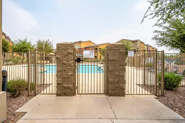 Gilbert, AZ 85233,240 W JUNIPER Avenue #1249