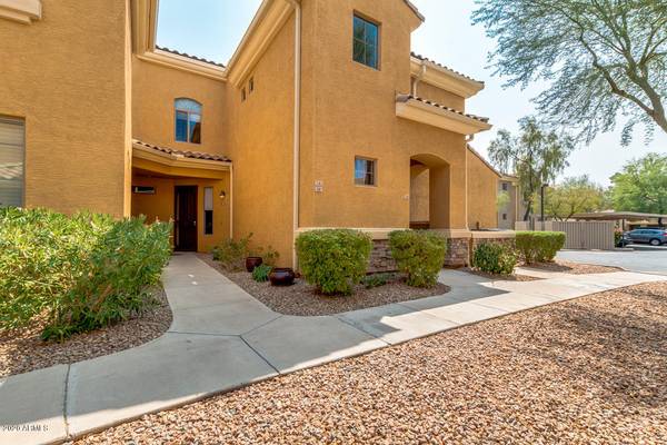 Chandler, AZ 85225,955 E KNOX Road #241